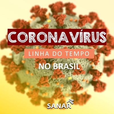 Timeline:  COVID-19 no Brasil éder 17 miguel 22