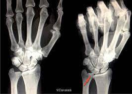 Dr. Carlos de Céspedes