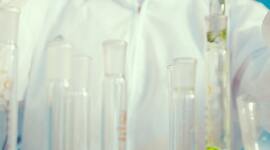 Timeline: Desarrollo histórico de biorreactores