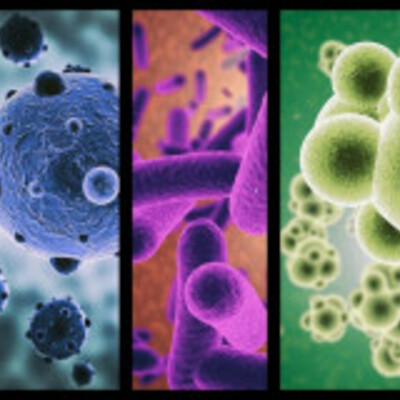 Timeline: Historia de la Microbiología Aplicada. Adriana Deeann Higuera.