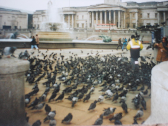 Trafalgar Square in London