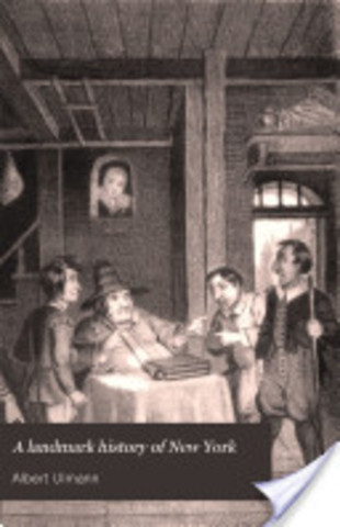 New Amsterdam City Government