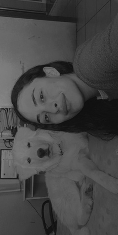 Me dieron un perrito