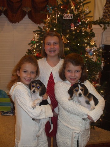 New Pets - Ella & Kate