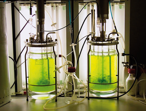 Biorreactor cerrado (Fotobiorreactor)
