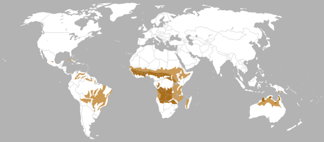 Descubrimiento de las poblaciones tropicales