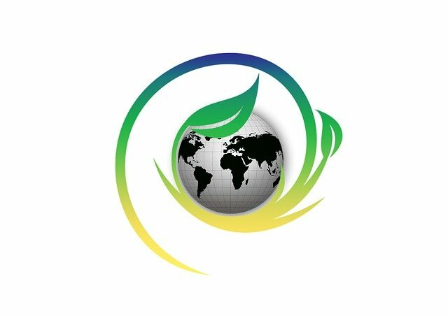 Creación del Ministerio del Medio Ambiente