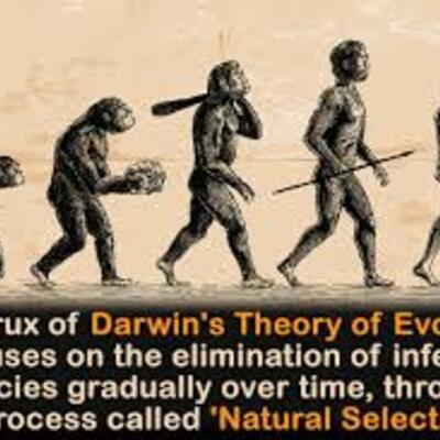 Timeline: Charles Darwin