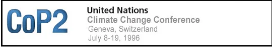COP 2: Ginebra (Suiza), 1996