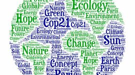 Timeline: Las COP "Excelente trabajo y valoro el hecho de explorar nuevas herramientas."