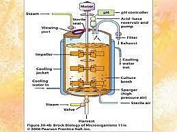 Fermentación a gran escala