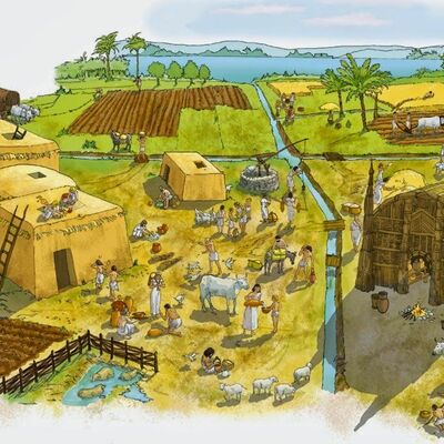 Timeline: Historia de la Administración