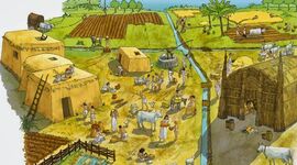 Timeline: Historia de la Administración