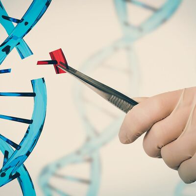 Timeline: Historia de la biologia molecular