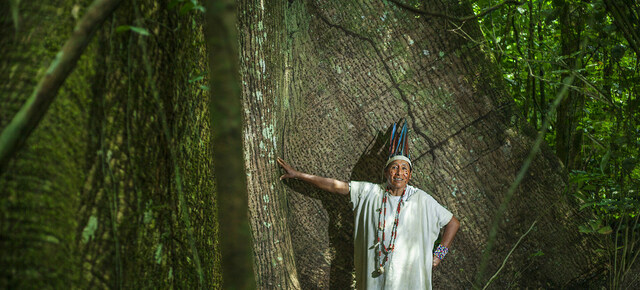 PRINCIPIO DE IRREVERSIBILIDAD CERO