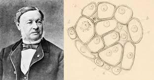 Theodor Schwann