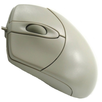 EL RATON DE HORDENADOR