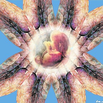 Artículo 23 Convención sobre los derechos de las personas con discapacidad