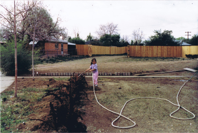 Watering the New Plants