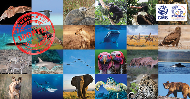 Convención africana para la conservasción de animales