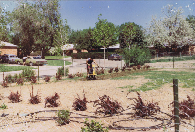 Landscaping has Begun