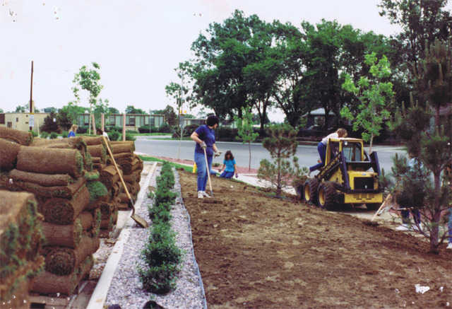 Landscaping the Front