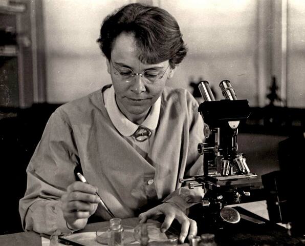 Barbara McClintock propone la existencia de los transposones.