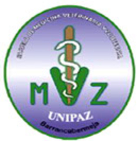 Decreto ordenanzal No. 0331