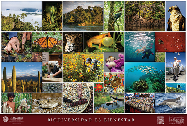 Biodiversidad.