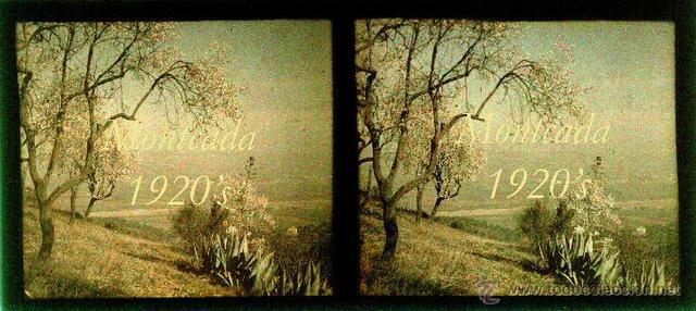 Primer procedimiento mono placa a color