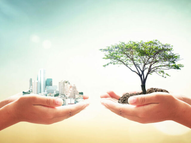 Origen de la sustentabilidad.