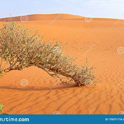 Timeline: A Long Walk To Water