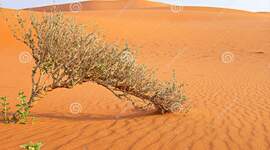 Timeline: A Long Walk To Water