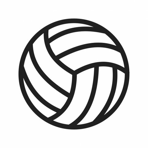 El balón de voleibol