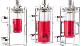 Timeline: Línea de tiempo sobre el desarrollo histórico de biorreactores