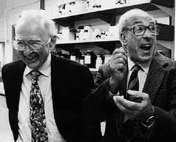 E. H. Fischer y E. G. Krebs descubren los mecanismos de fosforilación y desfosforilación reversibles de las proteínas.