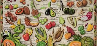 Alimentos domesticados.