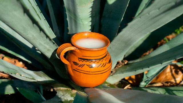 El pulque