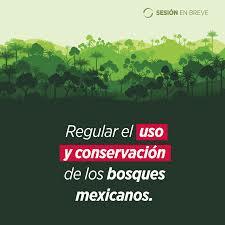 Ley Forestal