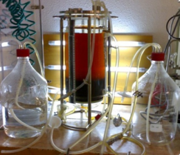 Nuevo biorreactor tipo columna de burbujeo para cultivo de células vegetales en suspensión.