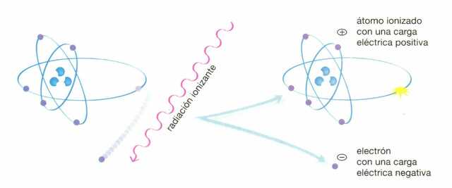 Ley de radiosensibilidad