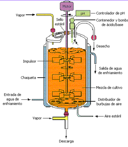 Biorreactor de tanque agitado