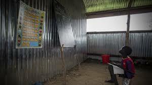 Salva runs to the bush