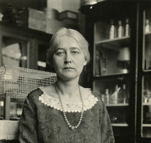 Maud Menten