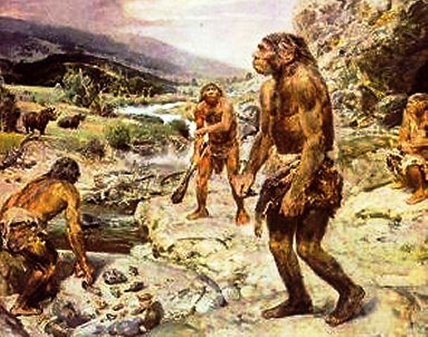 organización social