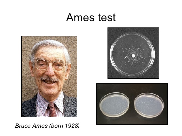 Bruce Ames
