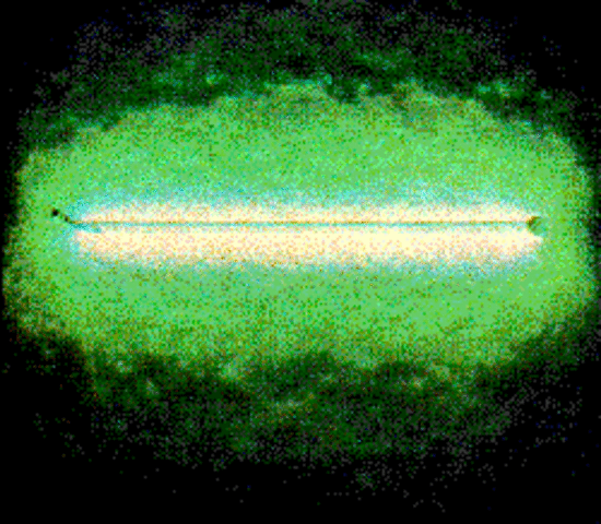 Marie & Pierre Curie