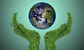 Reglamento de la Ley del Equilibrio Ecológico y la Protección al Ambiente del Estado de Morelos en Materia de Evaluación del Impacto y Riesgo Ambiental.