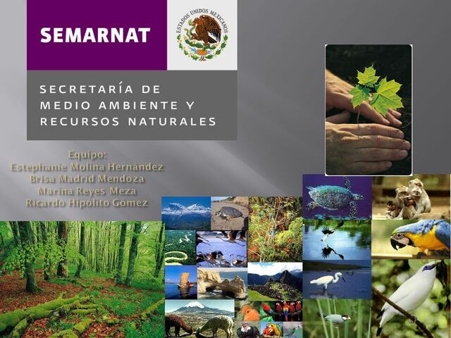 la Secretaría de Medio Ambiente y Recursos Naturales (Semarnat)