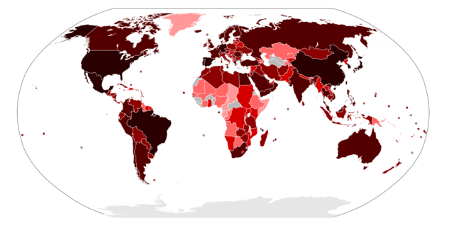 H1N1 Influenza (Swine Flu) Pandemic Ends
